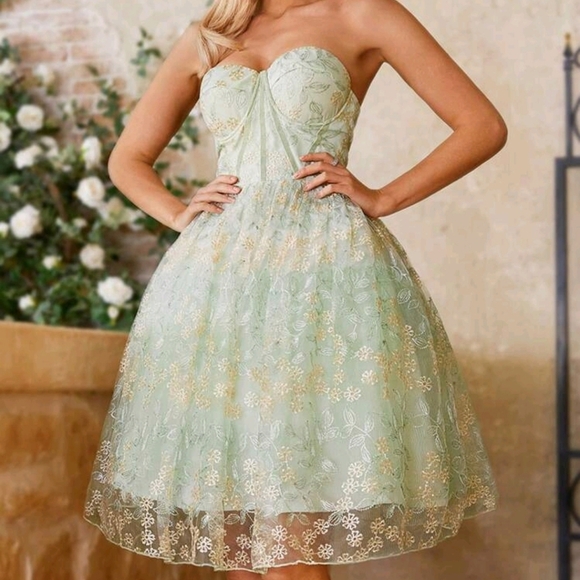 Elegant And Silky Woman, Soft Green Delicate Mesh Embroidered High-Waisted Dress